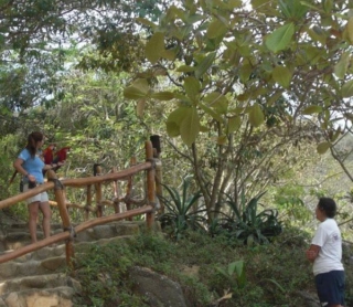 Excursion de caminata